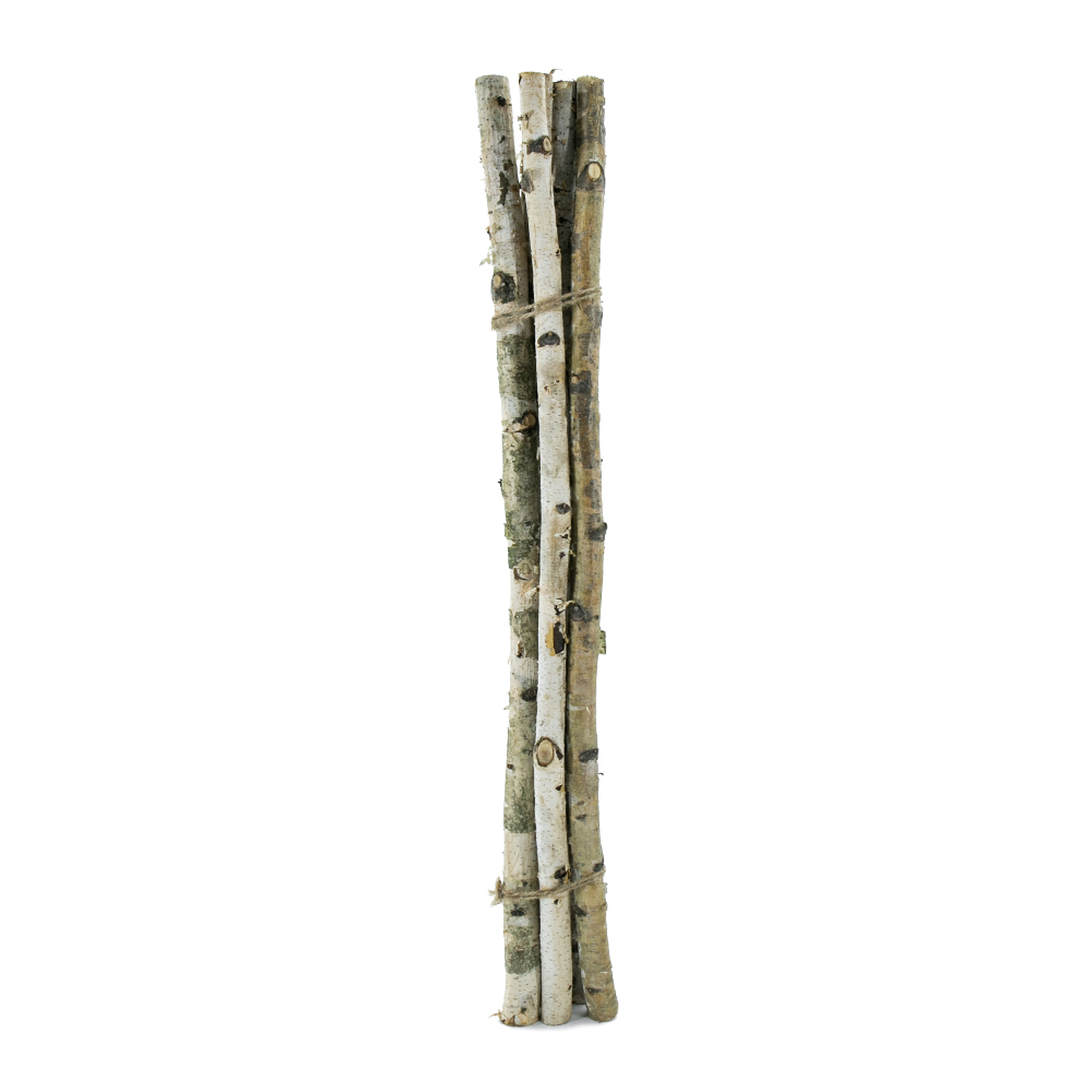 D1"H31.5" - DECORATIVE BIRCH POLES
