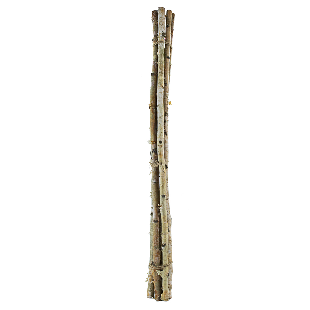 D1.1"H48" - DECORATIVE BIRCH POLES