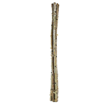 D1.1"H48" - DECORATIVE BIRCH POLES