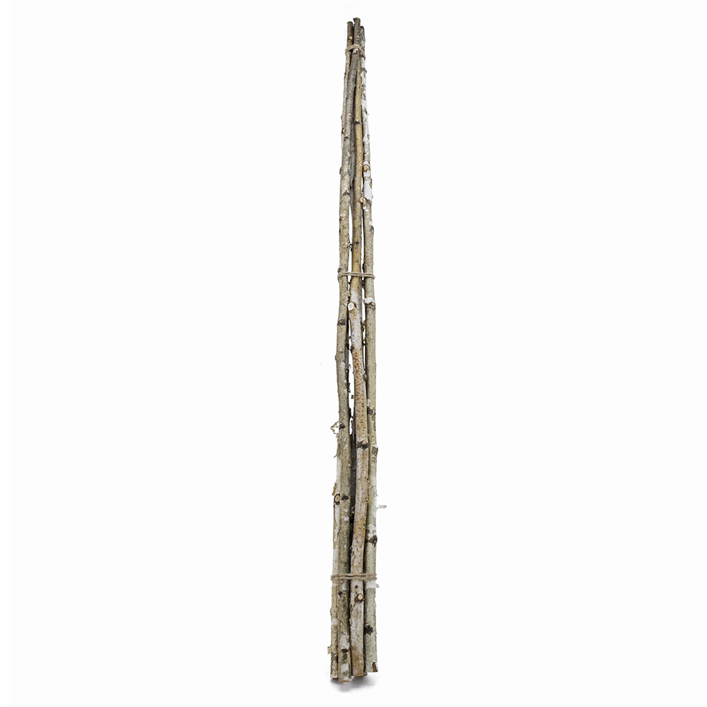 31350	 D0.8"H48" - DECORATIVE BIRCH POLES