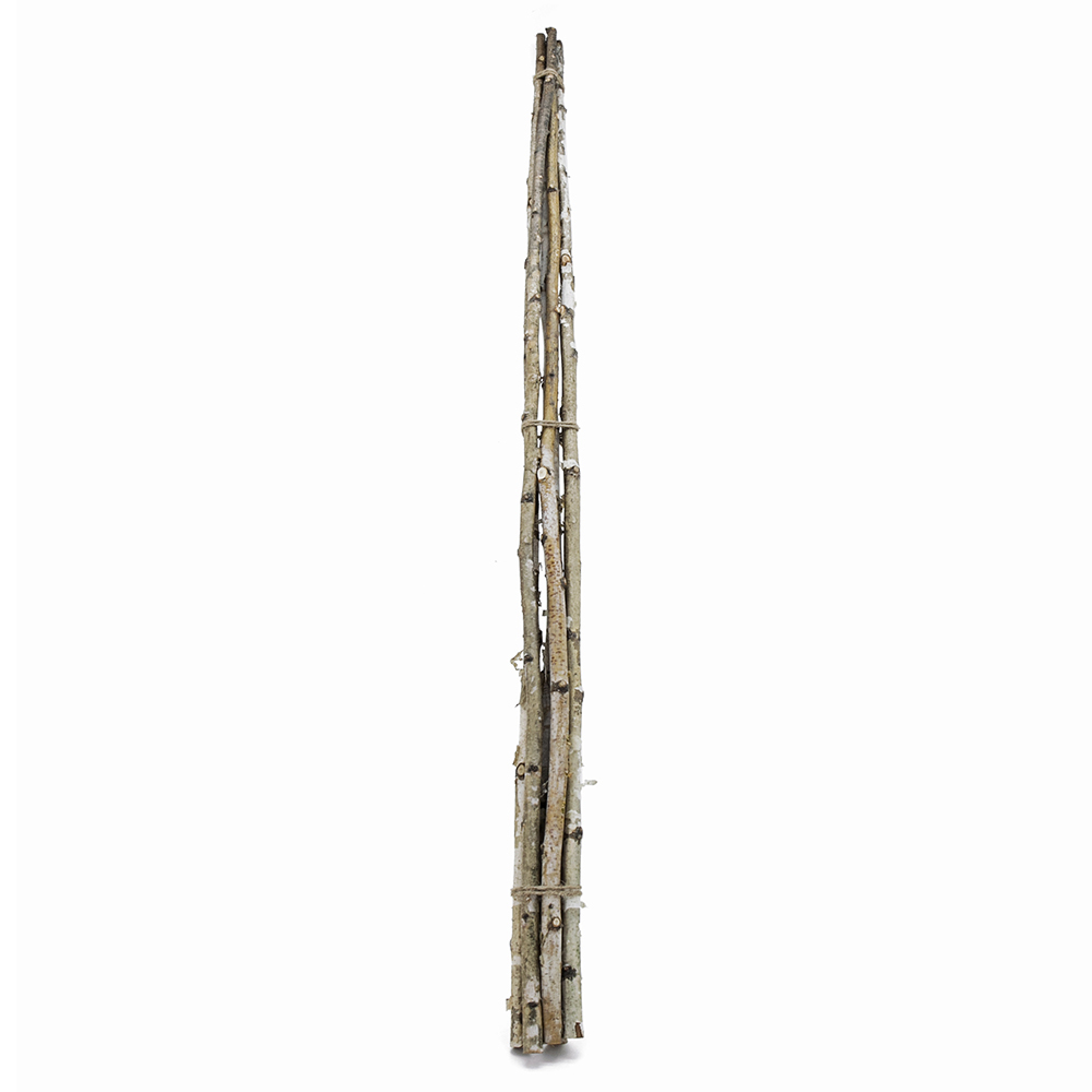 31350	 D0.8"H48" - DECORATIVE BIRCH POLES