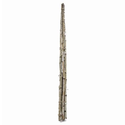 31350	 D0.8"H48" - DECORATIVE BIRCH POLES