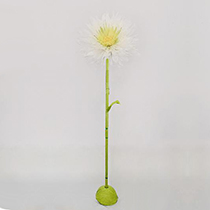 H47.2" - PAPER FLOWER