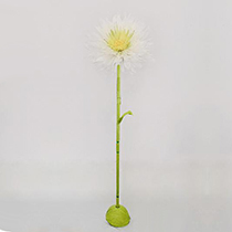 H47.2" - PAPER FLOWER