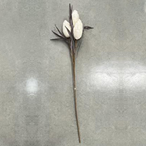 L37.4" - PROTEA FLOWER PICK