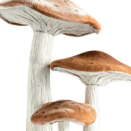 31556	 L16.1W12.6H22.8" - LARGE MUSHROOM TABLETOP DÃ‰COR