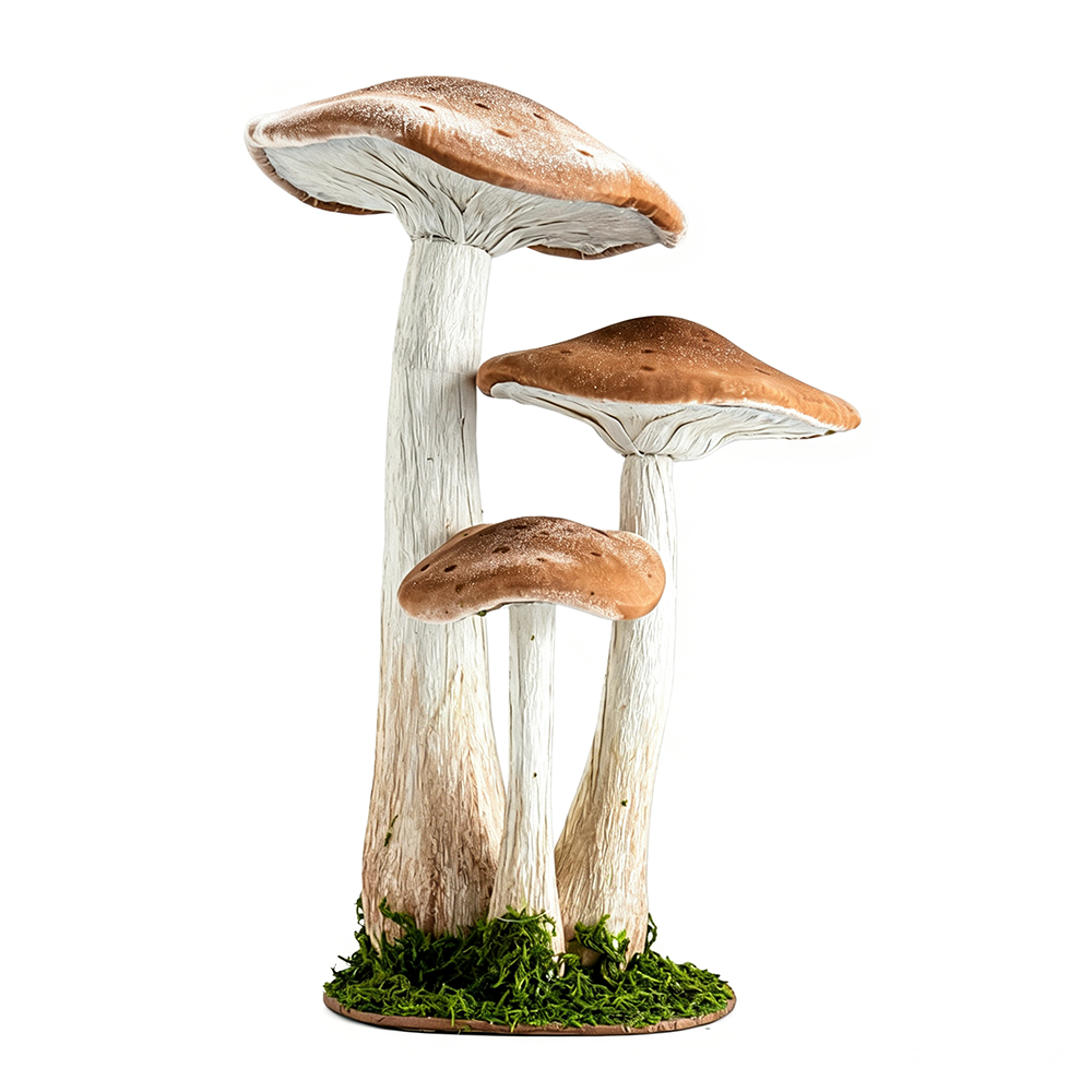 31556	 L16.1W12.6H22.8" - LARGE MUSHROOM TABLETOP DÃ‰COR