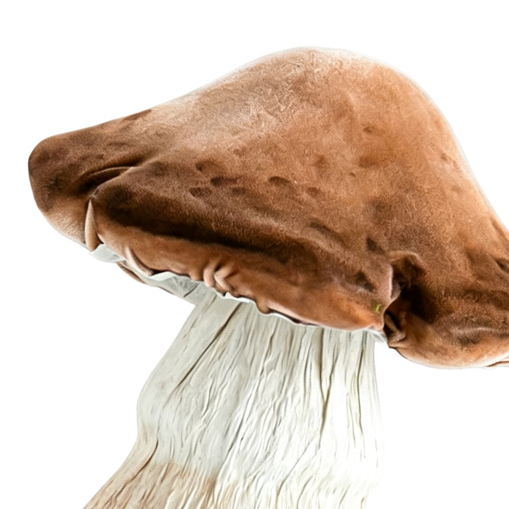31559	 L7.9W7.9H9.8" - MUSHROOM TABLETOP DÃ‰COR