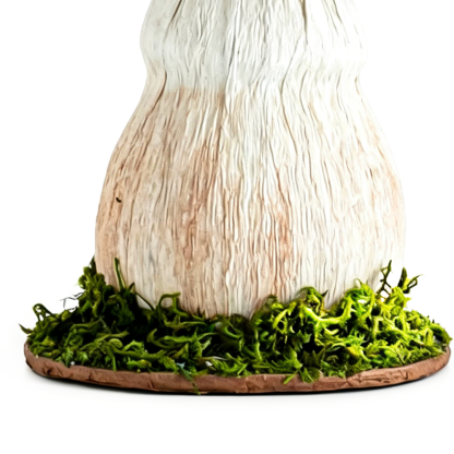 31559	 L7.9W7.9H9.8" - MUSHROOM TABLETOP DÃ‰COR