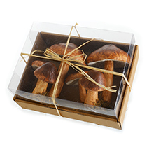 31648 L9.4"W4.9"H7.9" - BOXED MUSHROOM ORNAMENT X2