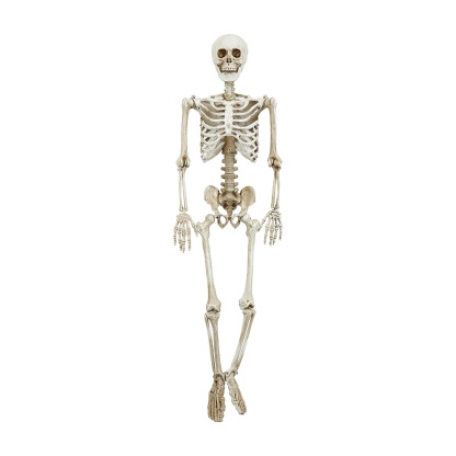 31680	 L35.4" - HANGING SKELETON