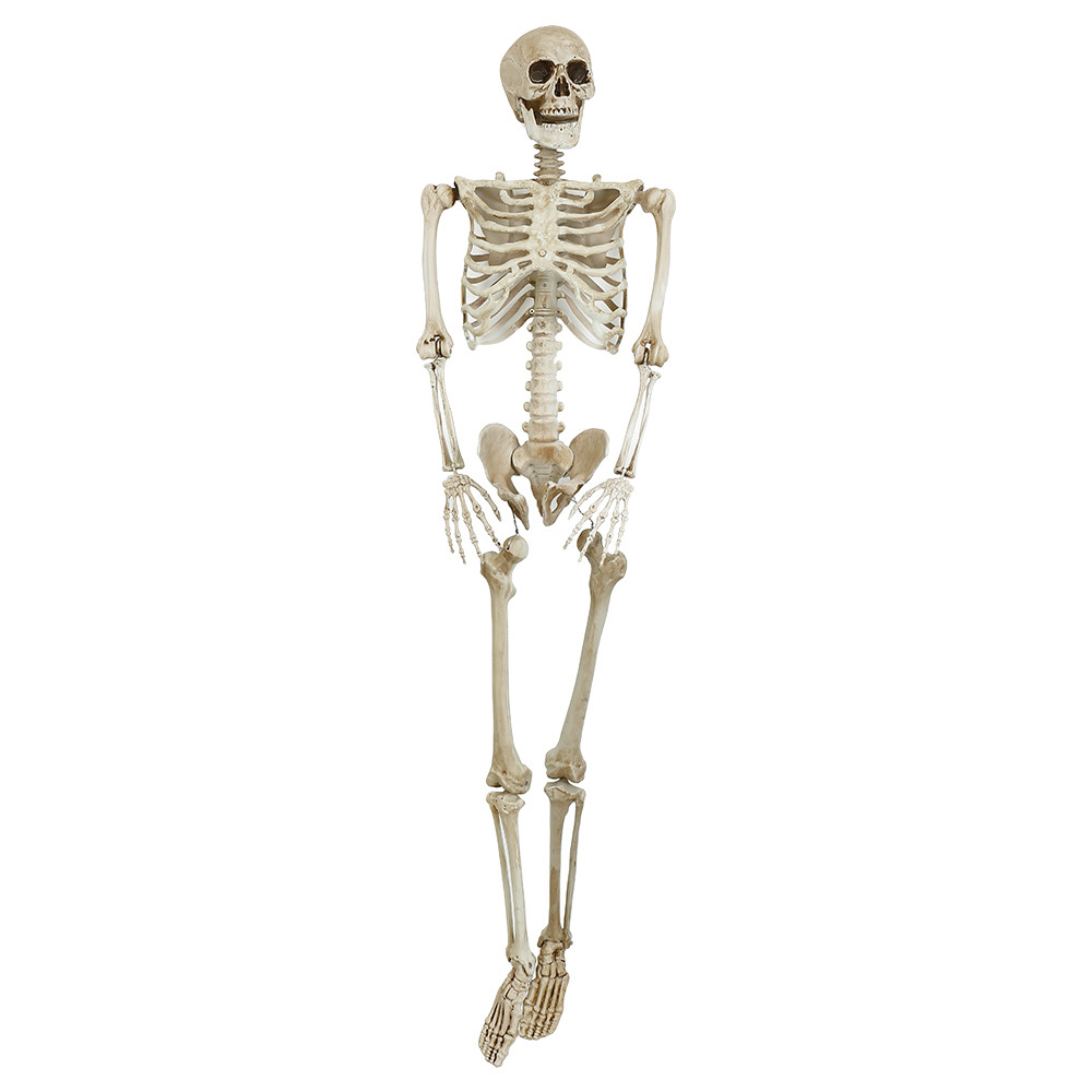 31683 L63" - HANGING SKELETON