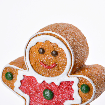 RC02019A4	 L6''W5''W8''  XMAS  ACCESSORY