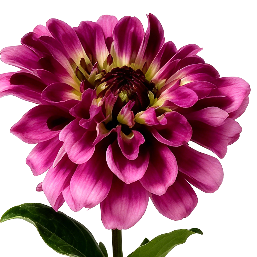 41010ASST	 L22.8" - ASSORTED COLORS POLYESTER FLOWERS