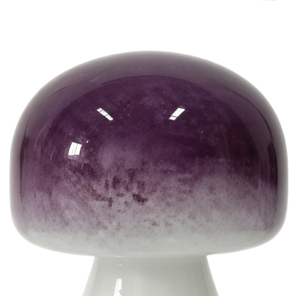 49726	 D5''H9.1''  GLASS ACCESSORY