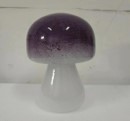 D5''H9.1''  GLASS ACCESSORY