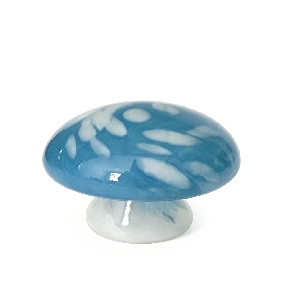 49733	 D4.1''H4.3'' GLASS ACCESSORY