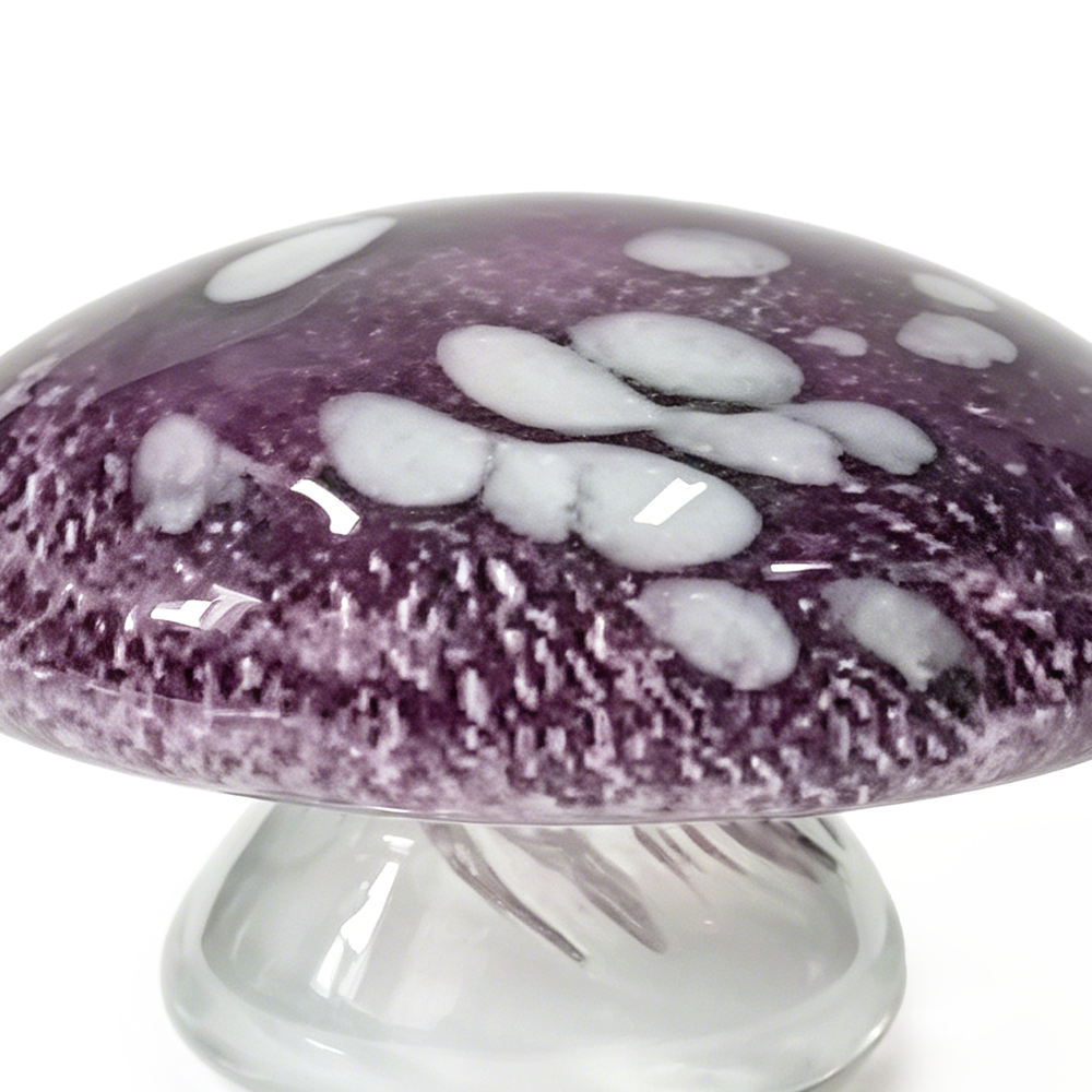 49739	 D4.1''H4.3'' GLASS ACCESSORY