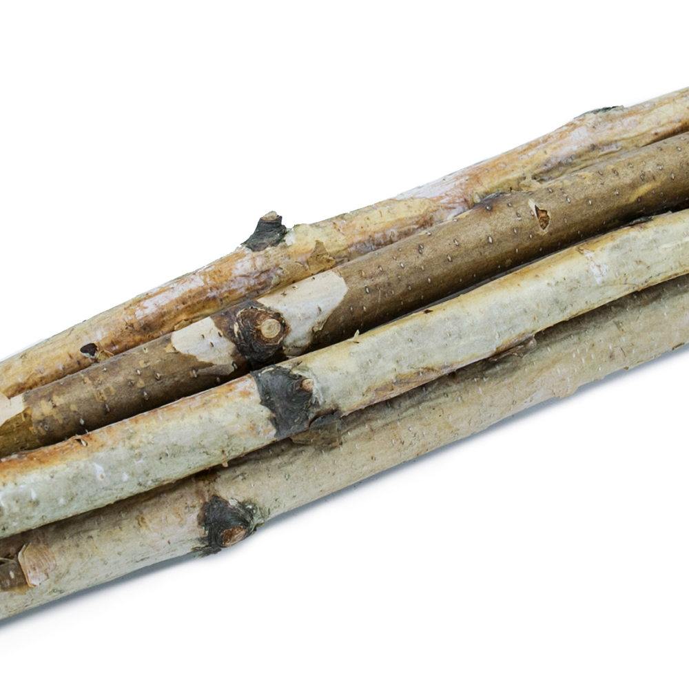 31342	 D1.4"H31.5" - DECORATIVE BIRCH POLES