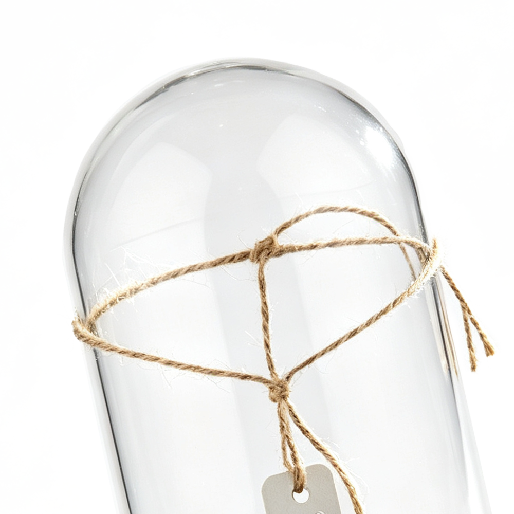 60017	 D5"H8.5" - CLEAR GLASS DOME CLOCHE WITH WOODEN BASE