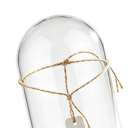 60017	 D5"H8.5" - CLEAR GLASS DOME CLOCHE WITH WOODEN BASE