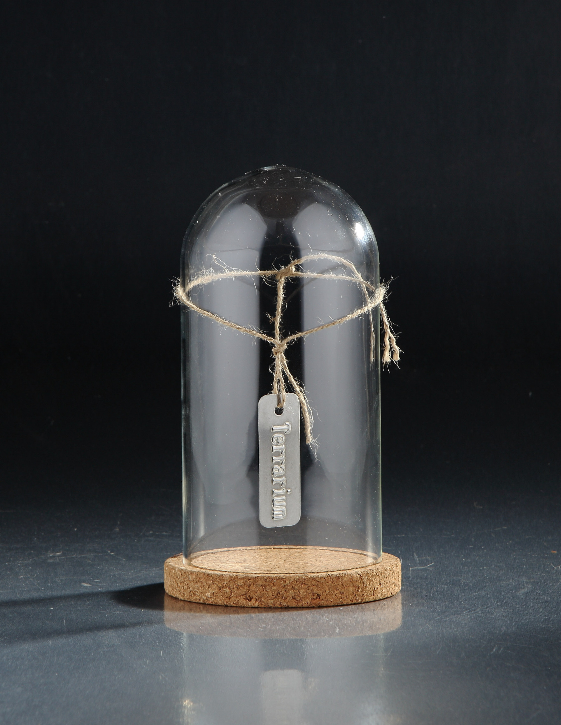 D5"H8.5" - CLEAR GLASS DOME CLOCHE WITH WOODEN BASE