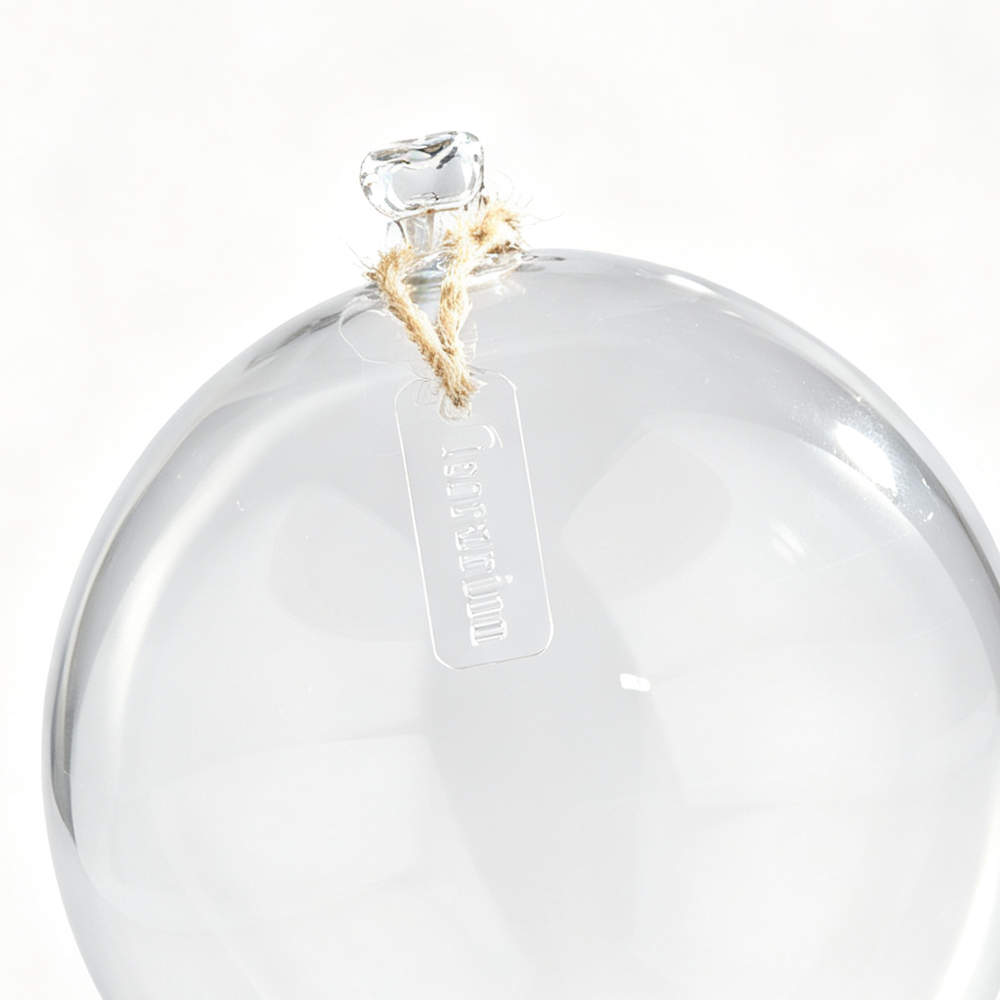 60019	 D8"H8.5" - CLEAR GLASS DOME CLOCHE WITH WOODEN BASE