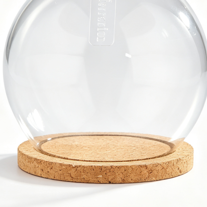 60019	 D8"H8.5" - CLEAR GLASS DOME CLOCHE WITH WOODEN BASE