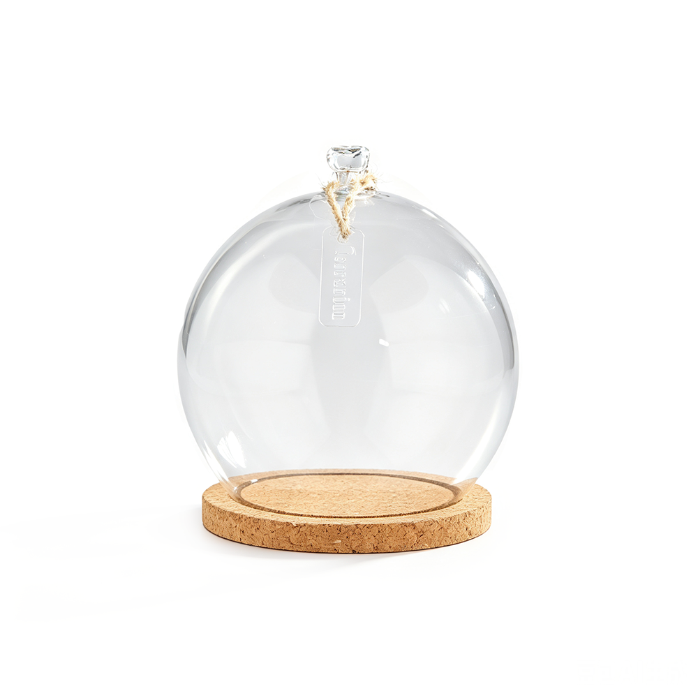 60019	 D8"H8.5" - CLEAR GLASS DOME CLOCHE WITH WOODEN BASE