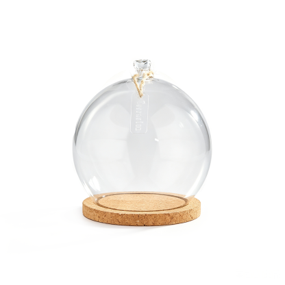 60019	 D8"H8.5" - CLEAR GLASS DOME CLOCHE WITH WOODEN BASE