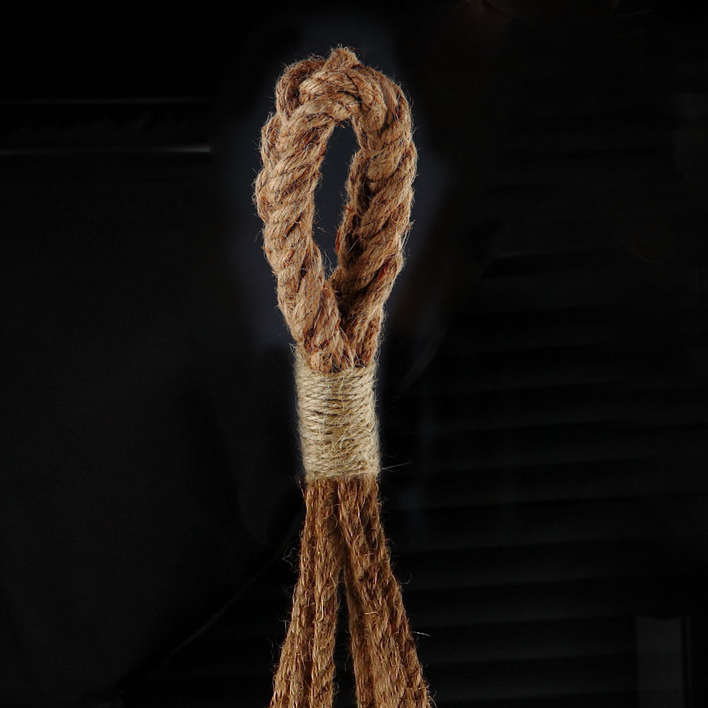 64586	 D9"H8.5" - HANGING GLASS TERRARIUM WITH ROPE