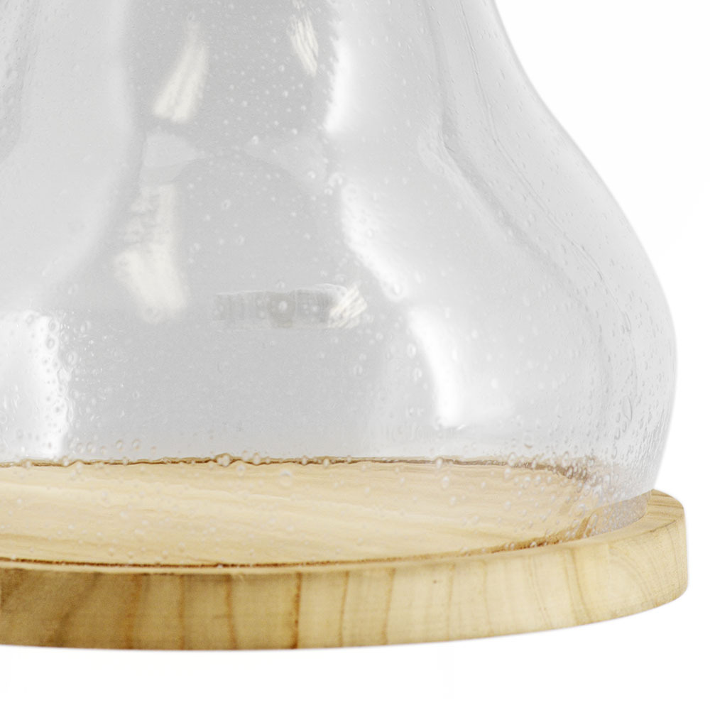 64694	 D11"H14" - CLEAR GLASS DOME CLOCHE WITH WOODEN BASE