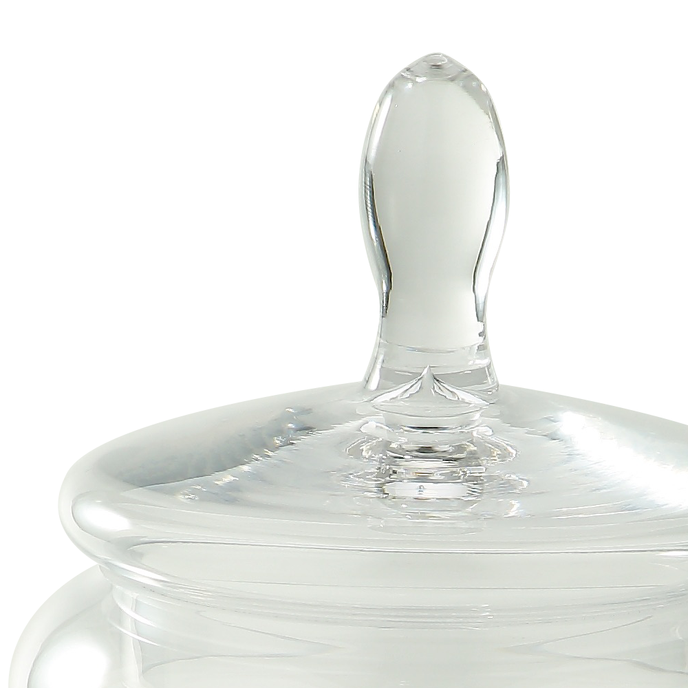 69329	 D6.5"H9" - GLASS APOTHECARY JAR WITH LID