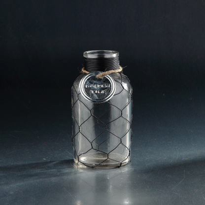 94034	 D4.3"H7.9" - GLASS VASE WITH WIRE MESH