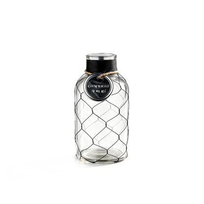 94034	 D4.3"H7.9" - GLASS VASE WITH WIRE MESH