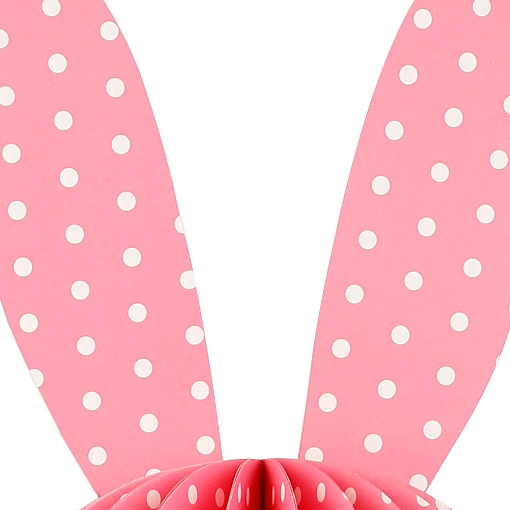OE04023PK D10''H23.5''EASTER ACCESSORY