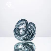 25031