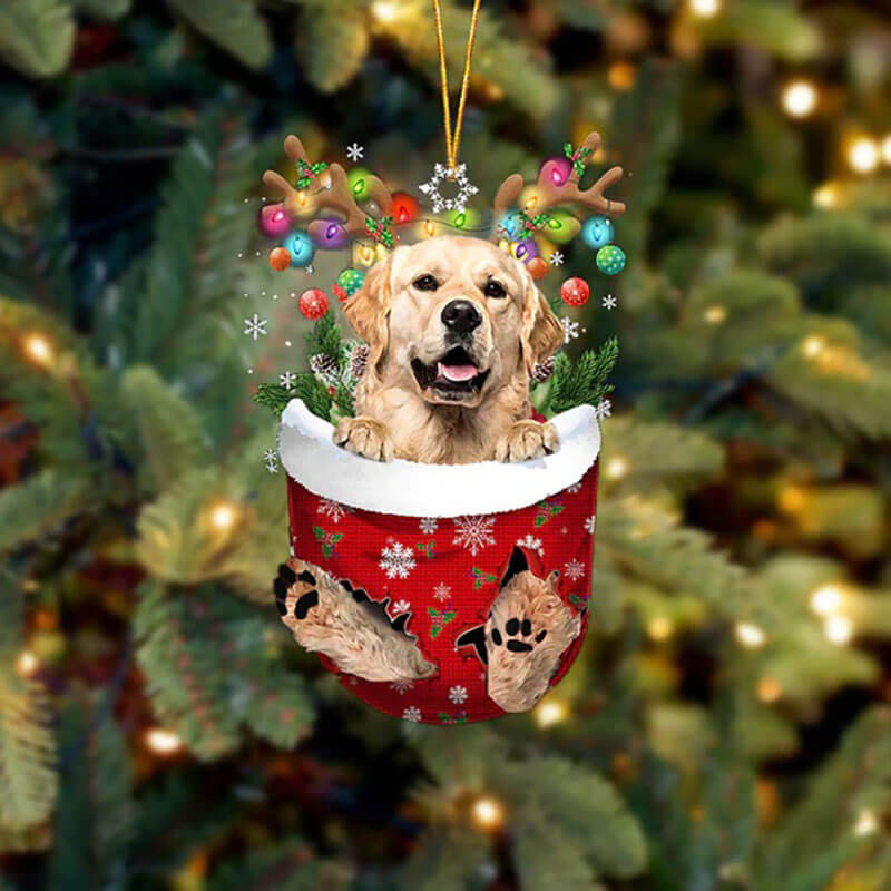 Golden Retriever In Snow Pocket Christmas Ornament SP008-Jolura