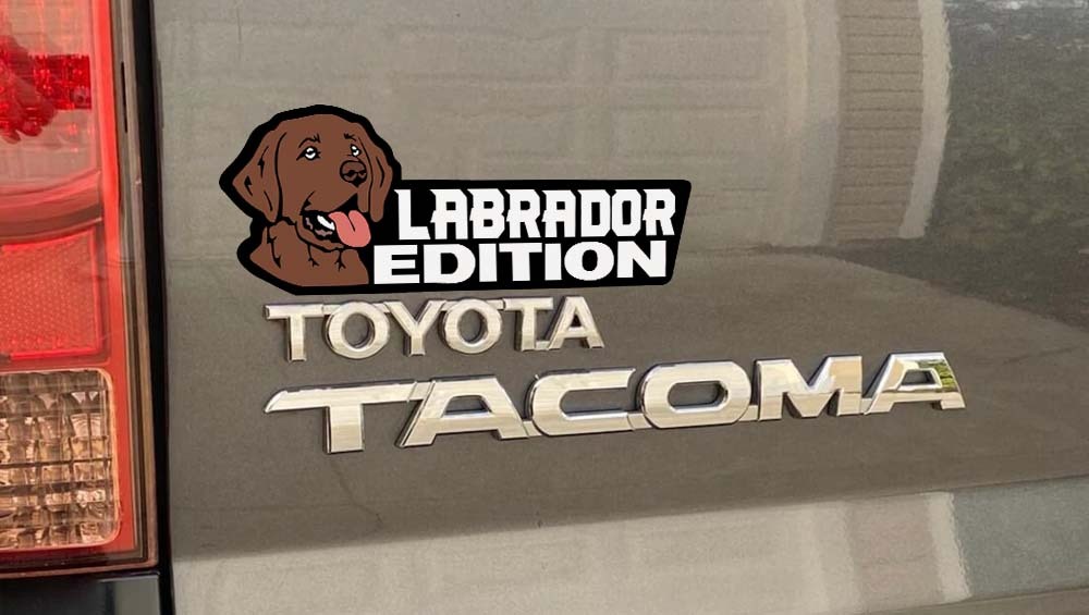 Chocolate Labrador Car Badge Laser Cutting Car Emblem CE006-Jolura