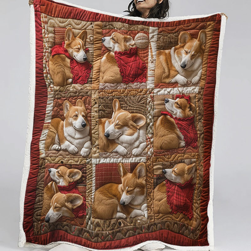 Happy Corgi Sleeping Blanket - D255 - Premium Blanket-Jolura