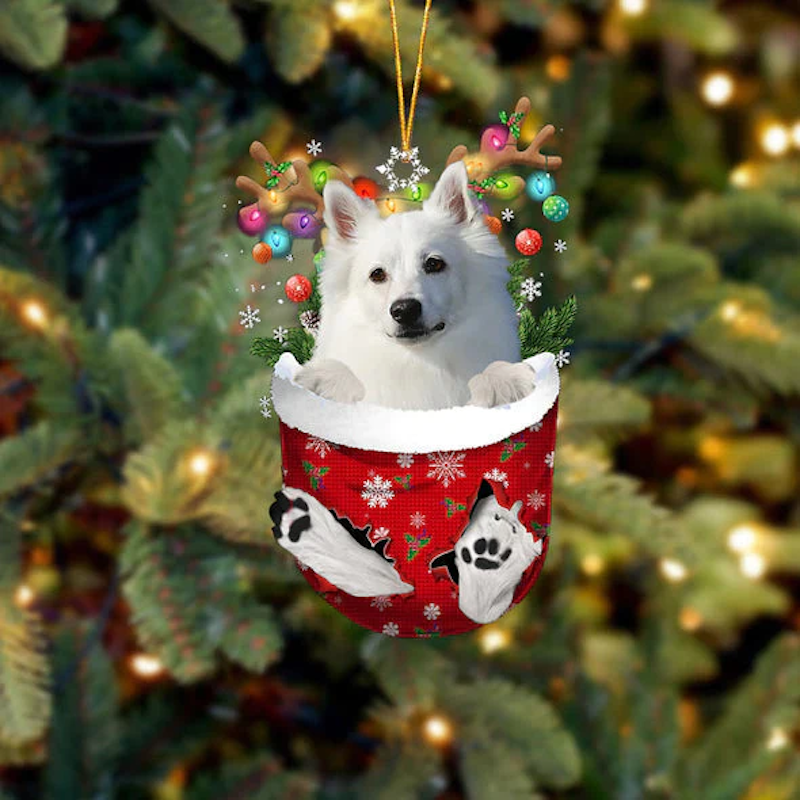 American Eskimo In Snow Pocket Christmas Ornament SP085-Jolura