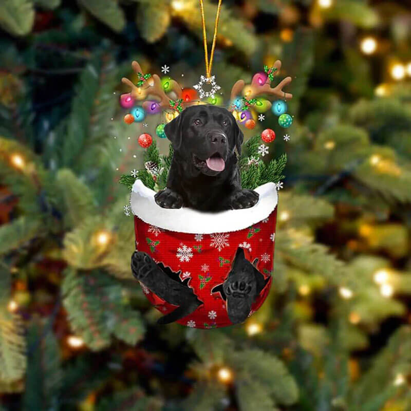 Black Labrador Retriever In Snow Pocket Christmas Ornament SP001-Jolura