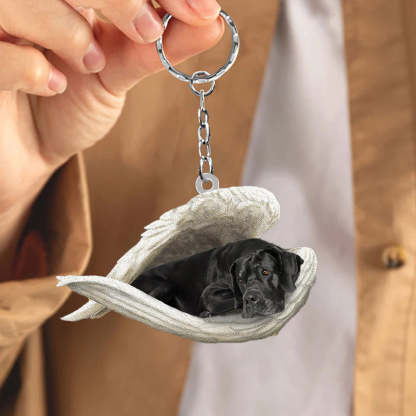 Sleeping Angel Acrylic Keychain Black Great Dane SA069-Jolura