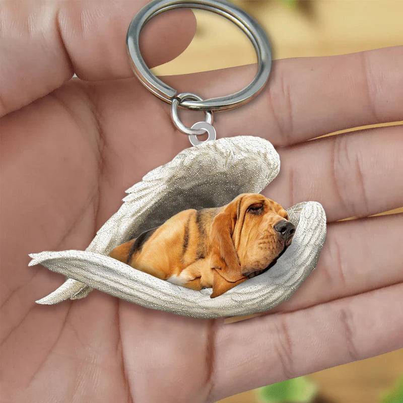 Sleeping Angel Acrylic Keychain Bloodhound SA093-Jolura