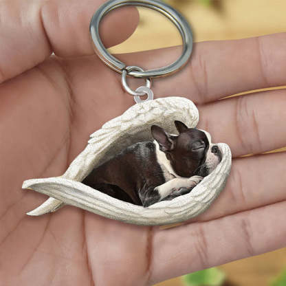 Sleeping Angel Acrylic Keychain Boston Terrier SA005-Jolura