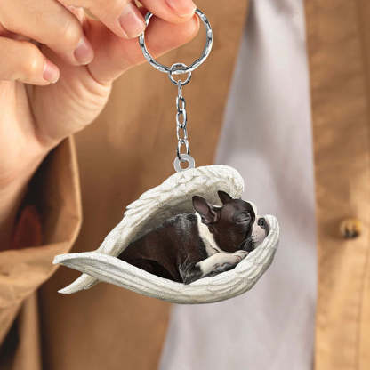 Sleeping Angel Acrylic Keychain Boston Terrier SA005-Jolura