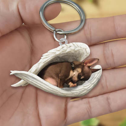 Sleeping Angel Acrylic Keychain Brown Chihuahua SA056-Jolura
