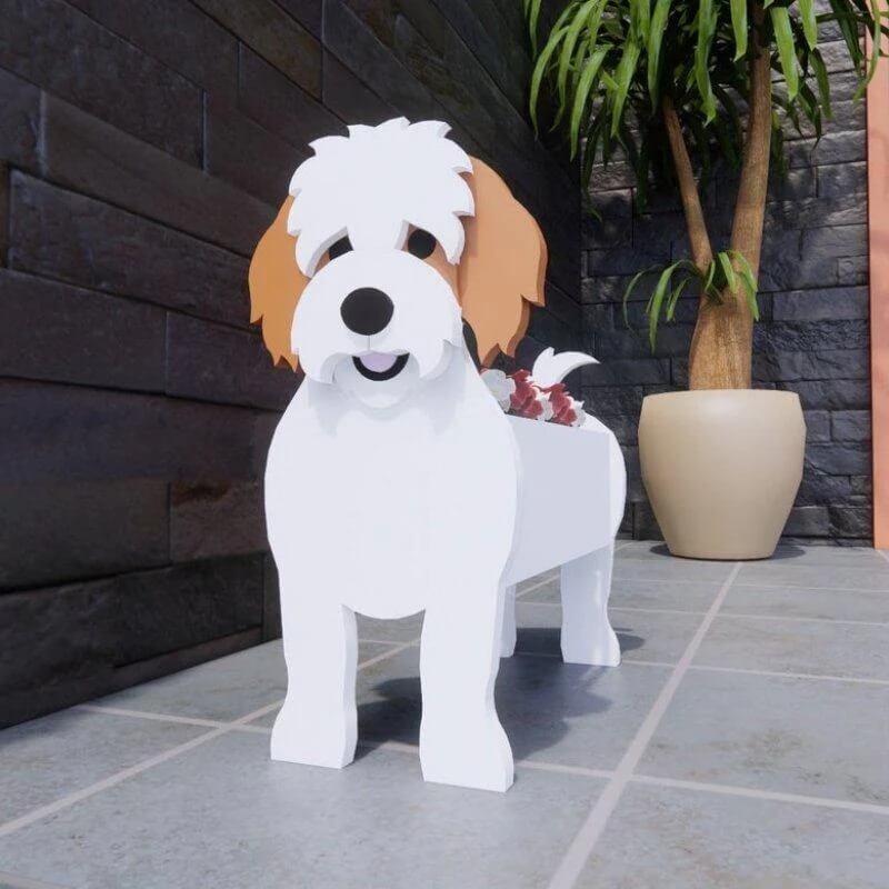 Cavachon Planter AP028-Jolura