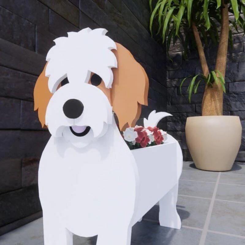 Cavachon Planter AP028-Jolura