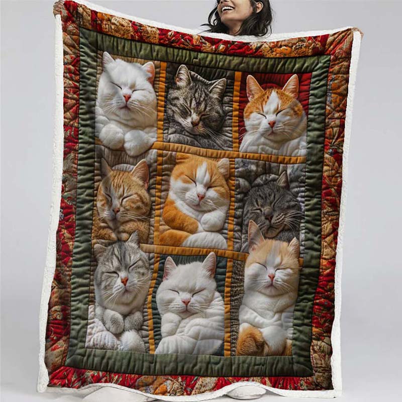 Sleeping Royal Cat Blanket - D200 - Premium Blanket-Jolura
